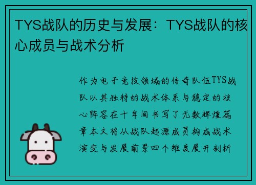 TYS战队的历史与发展：TYS战队的核心成员与战术分析