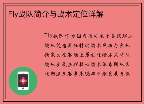 Fly战队简介与战术定位详解
