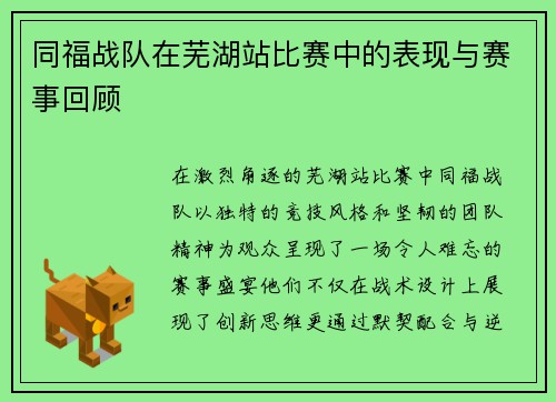 同福战队在芜湖站比赛中的表现与赛事回顾